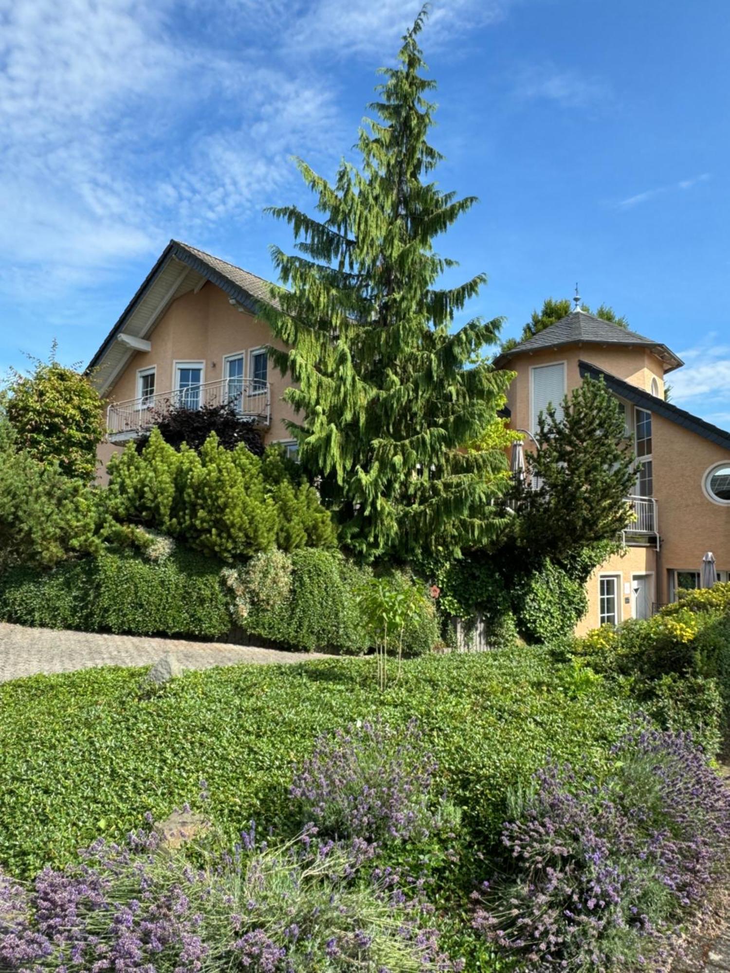 Ferienwohnung Feiden Eifel-Mosel Lounge Greimersburg Exteriér fotografie